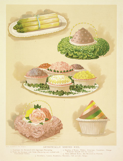 1898년 영국에서 출간한 인기 요리책 ‘실용요리 백과사전’에 실린 다양한 얼음과자 그림. 보기도 좋고 맛도 좋은 디저트는 근현대에 들어서며 재료값이 낮아지며 대중에게 급속하게 퍼져갔다. 프시케의숲 제공