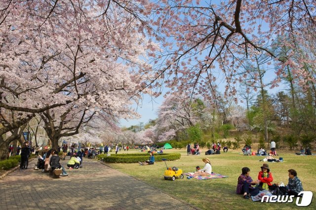 서울어린이대공원 벚꽃축제 모습.(서울시 제공) © 뉴스1