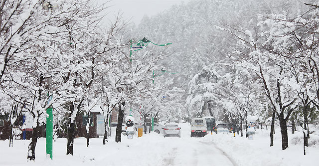 다시 겨울왕국 10일 오전 대설경보가 내려진 강원 태백시 산길 도로가 눈으로 뒤덮여 있다. 이날 태백시는 4월에 내린 눈으로는 역대 두 번째인 적설량 22.5cm를 기록해 때늦은 겨울왕국으로 바뀌었다. 태백=뉴시스