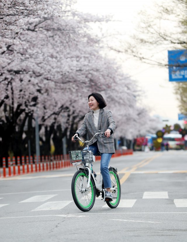 아침에 일찍 가면 따릉이(서울 공유자전거)를 타고 벚꽃을 즐길 수 있다