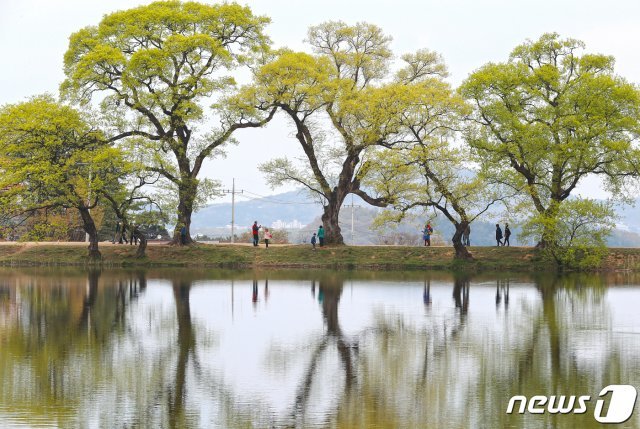 /뉴스1 DB © News1