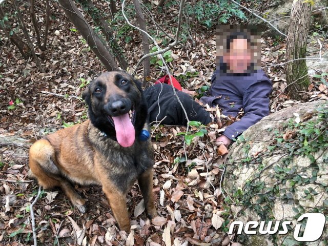 지난 13일 오전 9시50분쯤 전라남도 해남군 북일면 일원 한 야산에서 길을 잃고 추위에 떨고 있던 80대 실종자를 순천소방서 산악119구조대 인명구조견인 ‘장고’가 발견했다.(순천소방서 제공)2019.4.15/뉴스1 © News1