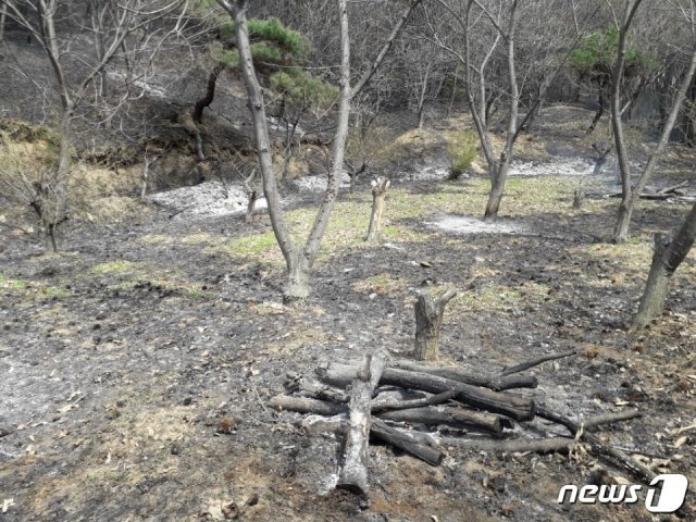 20일 오전 10시12분 충남 공주시 계룡면 구왕리 190 인근 야산에서 불이 나 A씨(82)가 숨졌다. (사진=공주소방서 제공) © 뉴스1