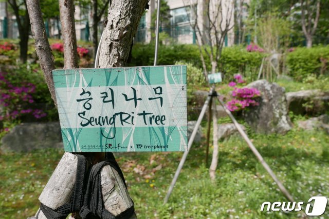 ‘로이킴숲’, ‘박유천 벚꽃길’ 등 사회적 물의의 중심에 있는 연예인의 이름을 사용한 시설에 지방자치단체(지자체)들이 골머리를 앓고 있는 가운데 22일 서울 강남구 역삼동의 한 근린공원에 ‘승리숲’의 ‘승리나무’를 표시하는 나무 표식이 설치돼 있다. © News1