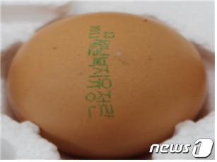 살충제 달걀.© News1