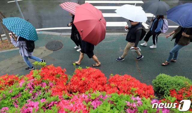 비가 내린 25일 오후 전북 전주시 전북대학교에서 우산을 받은 학생들이 철쭉이 핀 화단 옆을 걷고 있다.2019.4.25/뉴스1 © News1