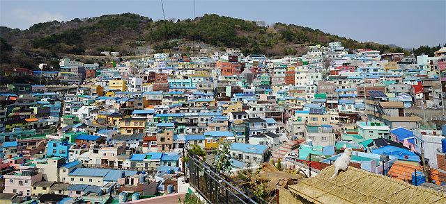 감천문화마을은 1∼2시간이면 둘러볼 수 있다. 마을에 입주한 작가들이 운영하는 체험 프로그램을 홈페이지에서 신청할 수 있다.