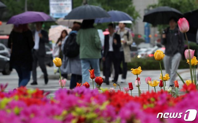 고온 현상을 해소해줄 봄비가 내리고 있는 25일 서울 중구 을지로입구 횡단보도에서 우산을 쓴 시민들이 발걸음을 옮기고 있다. 2019.4.25/뉴스1 © News1