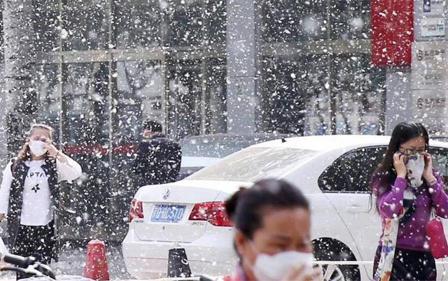6일 중국 소셜미디어 웨이보에 눈처럼 흩날리는 베이징의 꽃가루 사진이 등장했다. 이 사진을 올린 이용자는 “드라마에 나오는 거품(가짜) 눈보다 더 진짜 같다”고 썼다. 사진 출처 웨이보