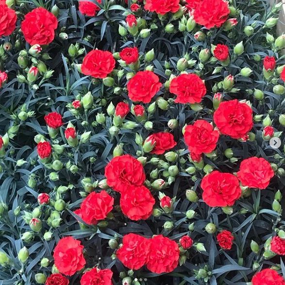 최준희 인스타그램