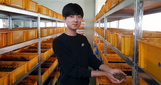 지난달 30일 경북 성주군의 농업회사법인 에코팜 사육장에서 이준호 대표가 사료용 곤충인 동애등에 유충을 손으로 들어 보이고 있다. 경북도 제공