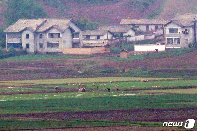 북한 주민들이 농사일을 하고 있다. © News1