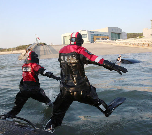 인천 중구 영종도 앞바다에서 밀물에 차량이 침수된 것을 가정한 긴급구조 훈련에 참가한 인천해양경찰서 구조요원들이 바다로 뛰어들고 있다. 중부지방해양경찰청 제공