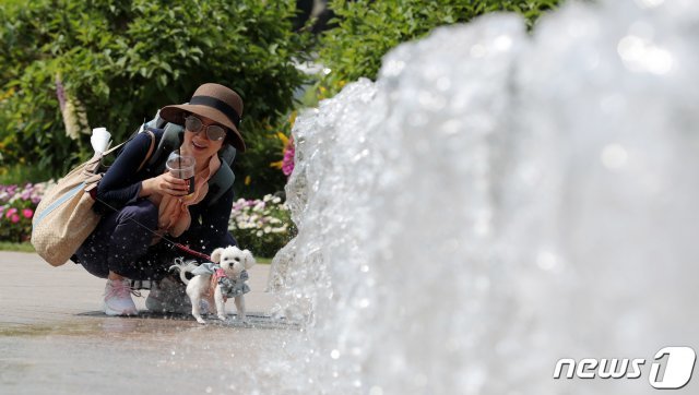서울 낮 기온이 26도까지 오르며 초여름 날씨를 보인 14일 오후 서울 중구 서울광장 분수대에서 한 시민과 반려견이 더위를 식히고 있다. © News1
