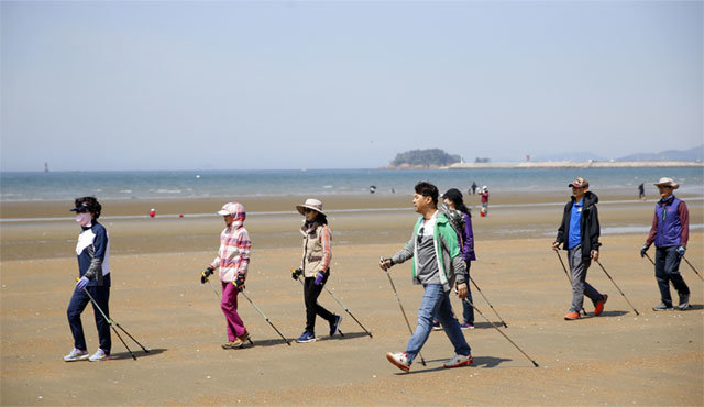 충남 태안군이 13일 몽산포해수욕장에서 바닷모래 위를 걷는 ‘해사 노르딕 워킹’ 프로그램을 운영하며 참가자들의 신체에 미치는 영향을 테스트하고 있다. 태안군 제공