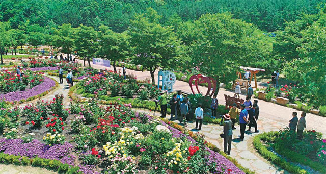사랑과 평화의 공간으로 거듭나고 있는 충북 영동 노근리평화공원에서 18일 ‘노근리, 꽃길만 걸어요!’라는 주제로 정원축제가 열린다. 영동군 제공