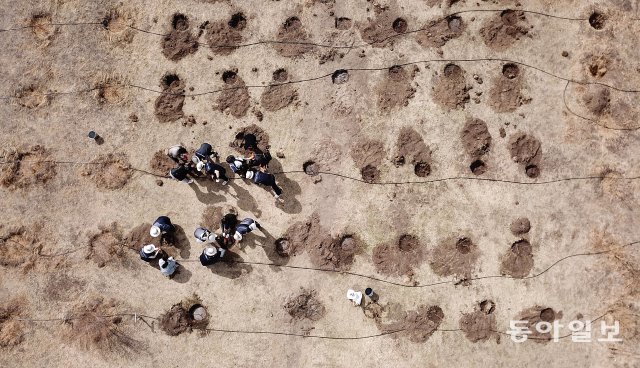 14일 오후 몽골 바가노르시 사막화 지역에서 대한항공 임직원과 델타항공 직원 및 현지 학생 등이 나무 심기 활동을 펼치고 있다. 
대한항공은 사막화 진행을 막기 위한 ‘글로벌 플랜팅 프로젝트(Global Planting Project)’의 일환으로 2004년 
몽골에 ‘대한항공 숲’을 조성하고 올해로 16년째 나무 심기 봉사활동을 이어가고 있다.