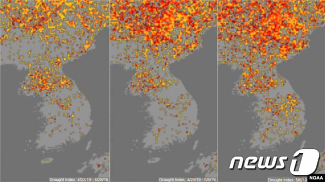 북한이 겪고 있는 극심한 가뭄이 미국 국립해양대기국(NOAA)의 기상위성을 통해서도 확인됐다고 미국의소리(VOA) 방송이 18일 전했다. 미국의소리에 따르면 미국 국립해양대기청(NOAA)이 위성사진을 토대로 분석한 가뭄 지수지도에는 지난 6일부터 12일 사이 한반도 북부 지대 대부분이 붉은 색으로 표시돼 있다. 가뭄 지수 자료는 가뭄의 정도에 따라 ‘중간’과 ‘높음’, ‘심각’ 수준을 노란색과 빨간색, 검붉은색으로 구분하고 있다.(VOA 홈페이지) 2019.5.19/뉴스1