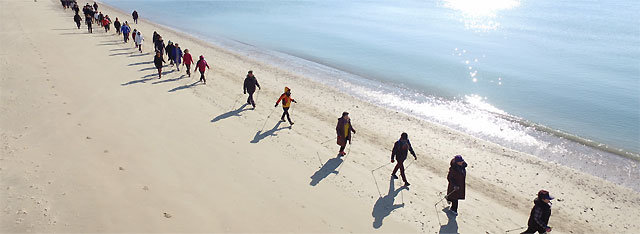 전남 완도군 신지면 명사십리 해변에서 단체 관광객들이 노르딕워킹을 체험하고 있다. 완도군은 해변 11km를 5개 코스로 나눠 맞춤형 노르딕워킹 코스를 선보일 계획이다. 완도군 제공