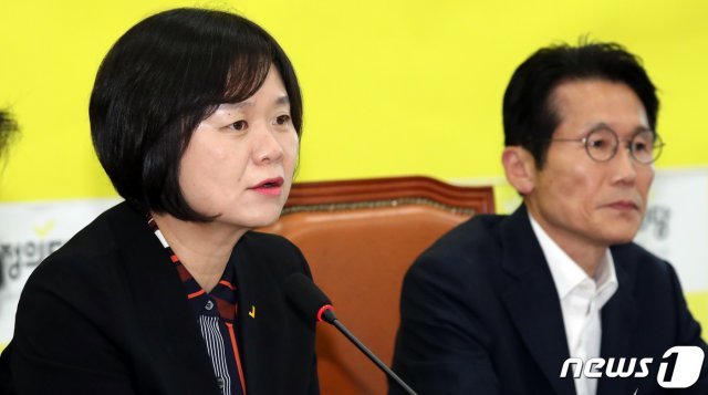 이정미 정의당 대표(왼쪽(가 21일 서울 여의도 국회에서 열린 의원총회에서 모두발언을 하고 있다. 2019.5.21/뉴스1 © News1