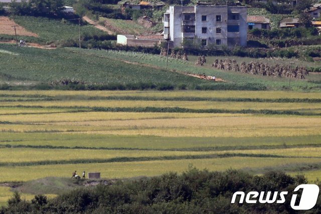 경기 파주 오두산전망대에서 바라본 북한 황해북도 개풍군 일대. © News1