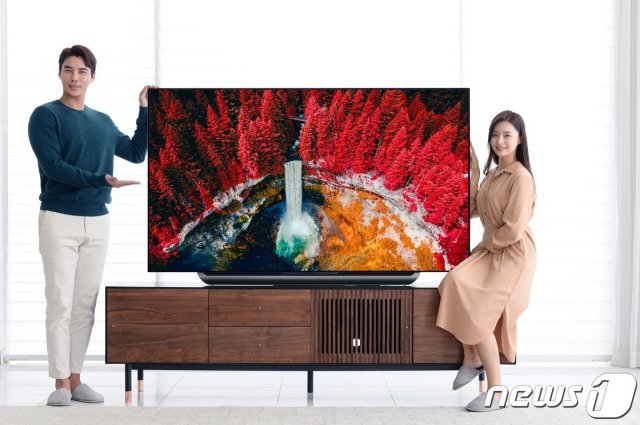 LG전자의 2019년형 OLED(유기발광다이오드) TV (LG전자 제공)/뉴스1
