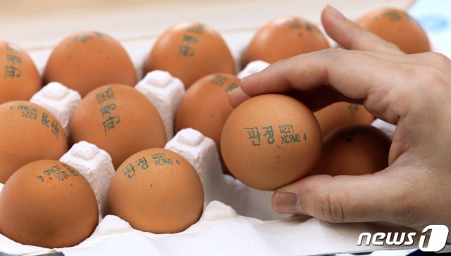 달걀 껍데기(난각) 산란일자 표시된 계란. .2019.2.23/뉴스1 © News1