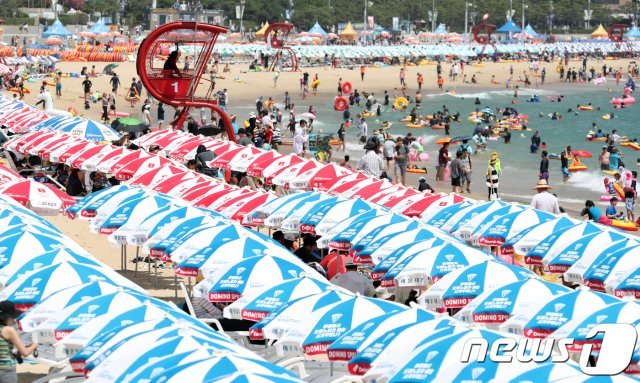 지난해 8월 12일 오후 부산 해운대구 해운대해수욕장을 찾은 피서객들이 물놀이를 즐기며 더위를 이겨내고 있다. 2018.8.12/뉴스1 © News1