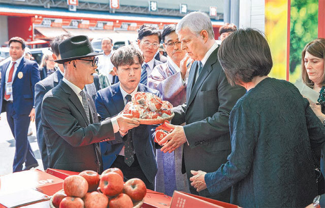 지난달 경북 안동시 농산물공판장을 찾은 앤드루 영국 왕자(오른쪽에서 세 번째)에게 안동농협 관계자가 애이플 사과를 선물하고 있다. 애이플 사과는 8일 엘리자베스 2세 여왕의 공식 생일파티에도 전달한다. 안동농협 제공