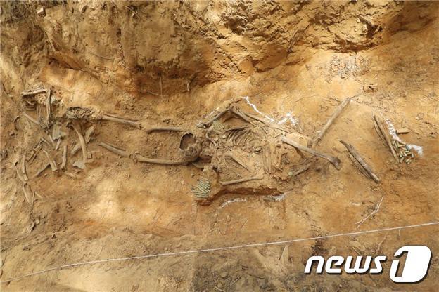 화살머리고지에서 발굴되고 있는 다수유해 모습 © 국방부 제공=뉴스1