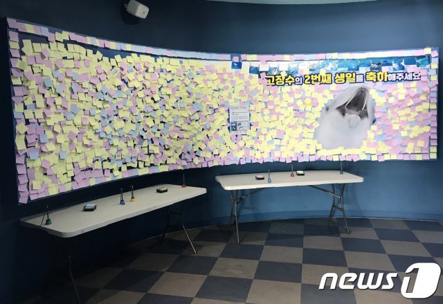 아기돌고래 ‘고장수’의 두 번째 생일 축하 벽.(울산 남구 제공)