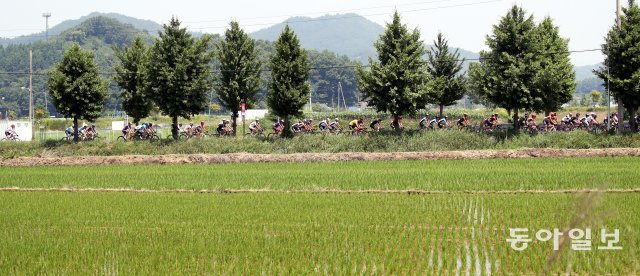 한국의 정취를 그대로

13일 ‘투르 드 코리아 2019’에 출전한 선수들이 스프린트 구간인 충북 음성군 봉전2리 버스정류소 앞을 달리고 있다.