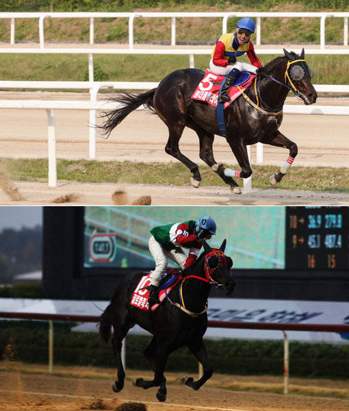 원더풀플라이(위쪽)-글로벌축제.