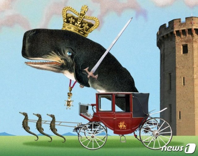 도널드 트럼프 대통령이 웨일스 왕자(찰스 왕세자)를 ‘고래’ 왕세자로 실수한 것을 패러디한 그림 <출처=트위터> © 뉴스1
