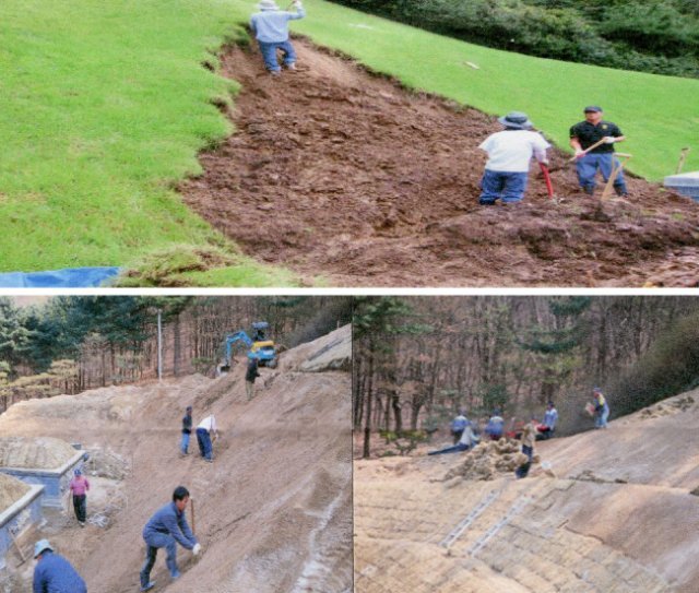 ‘신동아’가 입수한 2010년(위)과 2011년 박정희 전 대통령 묘역 공사 사진. 현충원 측은 롤 잔디 식재 과정(아래 오른쪽 사진)에서 고정핀을 썼다고 말한다.