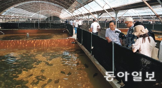 ‘2019 Sea Farm Show’에 참가한 해외 바이어들이 21일 제주 서귀포시 ㈜제주광어의 양어장을 방문해 수조에서 어종이 신선하고 건강하게 자라는 모습을 견학하고 있다. 제주=임재영 기자 jy788@donga.com