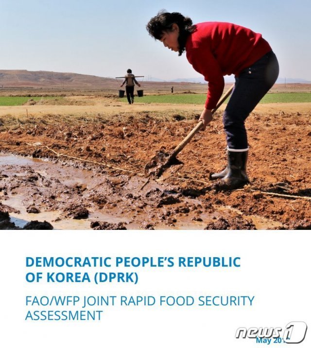 유엔 식량농업기구(FAO)와 세계식량계획(WFP)이 공동으로 발표한 ‘북한의 식량 안보 평가’ 보고서. © 뉴스1