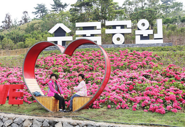 올해 처음 열린 ‘2019 신안 섬 수국 축제’ 수국공원에서 관광객들이 수국을 배경으로 사진을 찍고 있다. 신안군 제공