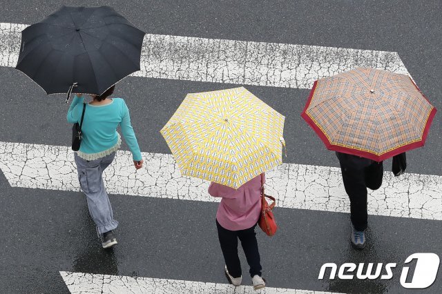 장맛비가 오락가락 내리는 9일 대구 수성구 범물동 한 횡단보도에서 우산을 쓴 시민들이 길을 건너고 있다. 2018.7.9/뉴스1 © News1