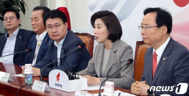 나경원 자유한국당 원내대표가 26일 서울 여의도 국회에서 열린 중진의원 연석회의에서 모두발언을 하고 있다. 2019.6.26/뉴스1 © News1