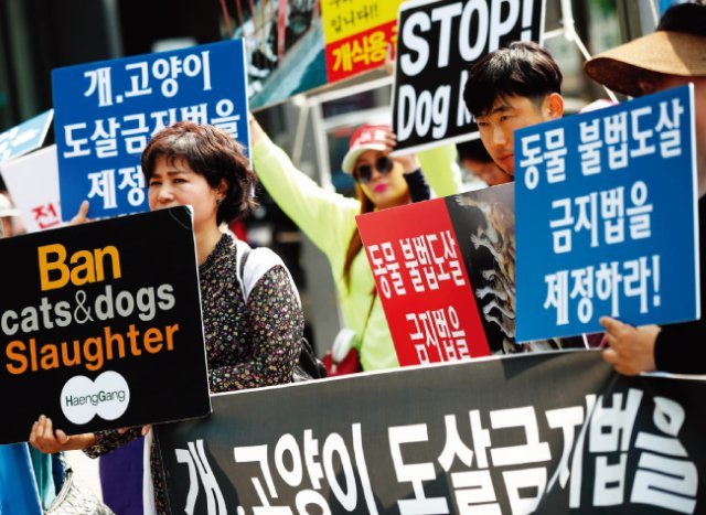 6월 서울 종로구 인사동에서 동물보호단체들이 개 식용 금지법을 제정하라는 시위를 하고 있다. [뉴스1]