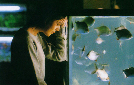 1999년 2월 개봉한 영화 ‘쉬리’는 한국영화 제작시스템의 중요한 분수령이 된 작품으로 평가받고 있다. 사진은 영화의 한 장면. 사진제공｜강제규필름