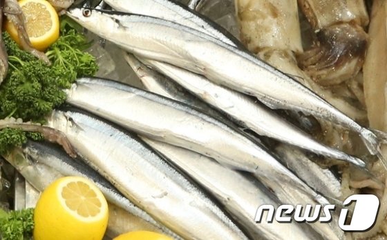 원양산 꽁치 <자료사진> © News1