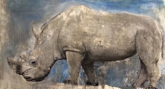 멸종위기동물을 드로잉으로 그리는 러스 로넷의 작품. 코뿔소.