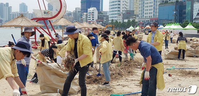 부산 수영구청 직원, 환경미화원, 자원봉사자 등 230여명이 광안리 해변을 덮어버린 해양쓰레기 수거 작업에 돌입했다.(수영구 제공).2019.07.22/© 뉴스1