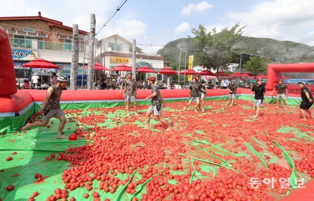 군인들이 참가한 ‘토마토 축구’가 진행되고 있다.