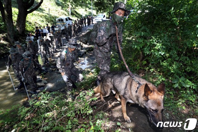 산악수색 작전에 특화된 특공대와 기동대 장병들이 30일 오후 충북 청주시 상당구의 한 야산에서 실종된 조은누리양(14) 수색작업에 투입되고 있다. 2019.7.30/뉴스1 © News1