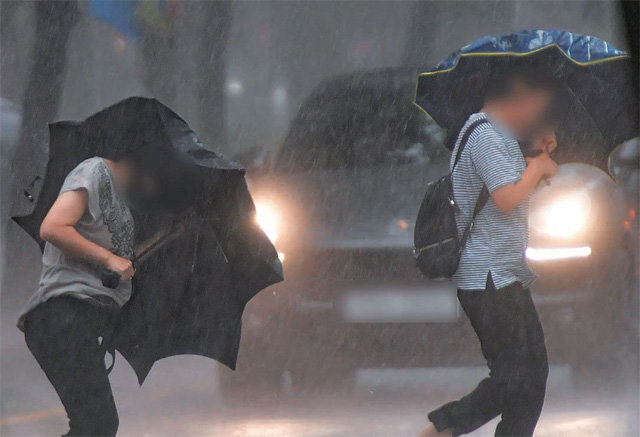 강한 비바람에 ‘무용지물’ 우산 제8호 태풍 ‘프란시스코’의 영향으로 부산 지역에 태풍주의보가 발효된 6일 오후 해운대구의 한 횡단보도에서 사람들이 강한 비바람에 맞서 힘겹게 우산을 쓴 채 걸어가고 있다. 부산=뉴시스