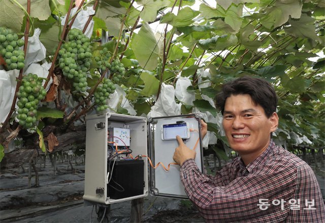 홍승혁 씨는 스마트 관수기술을 통해 포도밭에 자동으로 물을 댄다. 화성=홍진환 기자 jean@donga.com