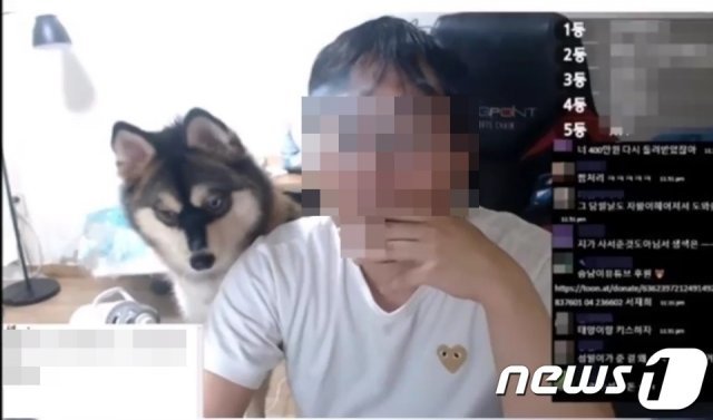 반려견 학대 영상 내보낸 유튜버2019.8.12/뉴스1 © News1